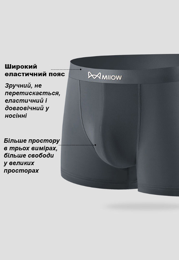 Набір трусів боксерів чоловічих Miiow M3-8302-24 XL 2 шт Світло-сірий/Темно-сірий Набір трусів боксерів чоловічих Miiow M3-8302-24 XL 2 шт Світло-сірий/Темно-сірий