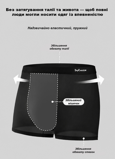 Труси боксери чоловічі Miiow M5-M7033-03 L Чорний Труси боксери чоловічі Miiow M5-M7033-03 L Чорний