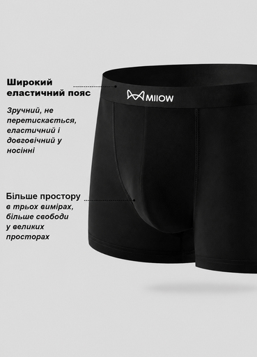 Труси боксери чоловічі Miiow M5-M7033-03 L Чорний Труси боксери чоловічі Miiow M5-M7033-03 L Чорний